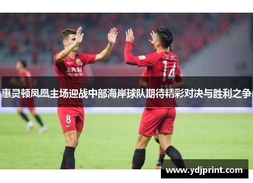 惠灵顿凤凰主场迎战中部海岸球队期待精彩对决与胜利之争